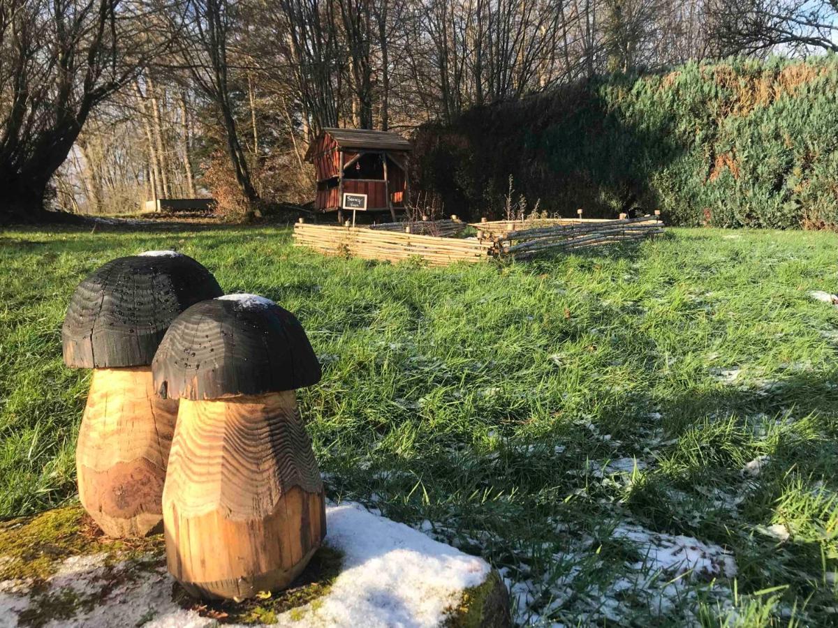 Gite Amélie, Sauna, Spa au coeur des Vosges Housseras Extérieur photo